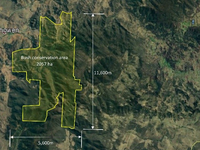 global tree exchange conservation australia